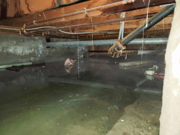 Best Water damage cleanup near me  in Columbia, TN