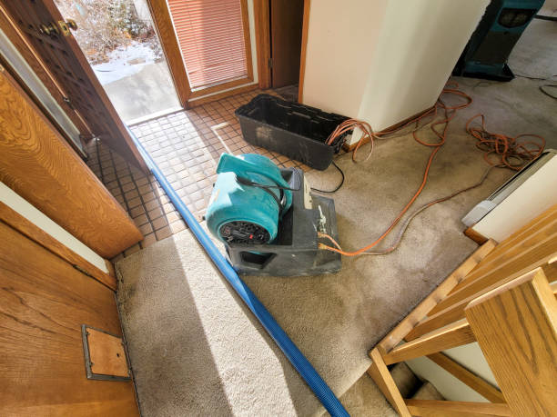 Best Fire Damage Restoration  in Columbia, TN