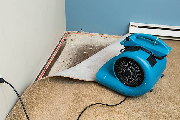 Best Sewage cleanup and water damage restoration  in Columbia, TN